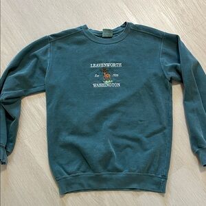 Leavenworth Washington Men's Green Sweater